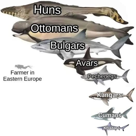 OrdaHan-𐰆𐰺𐰴𐰣 tweet media