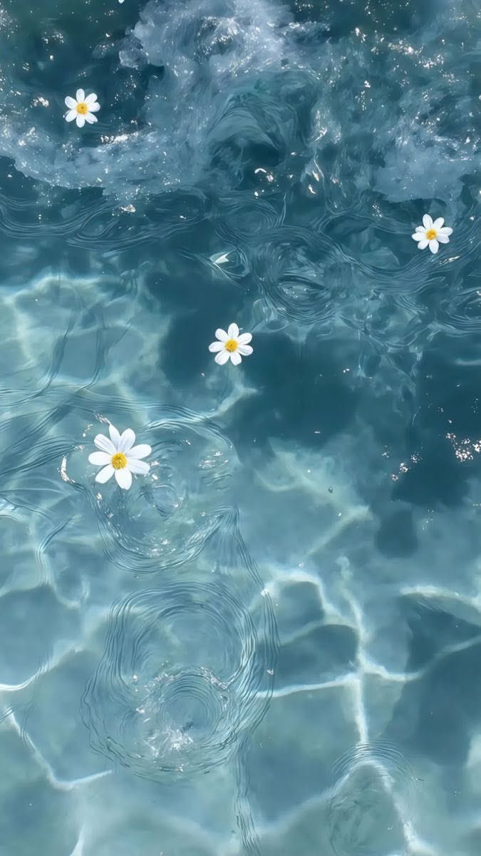 รอ บอ นิม 𓂃ෆ˚ ˙ tweet media