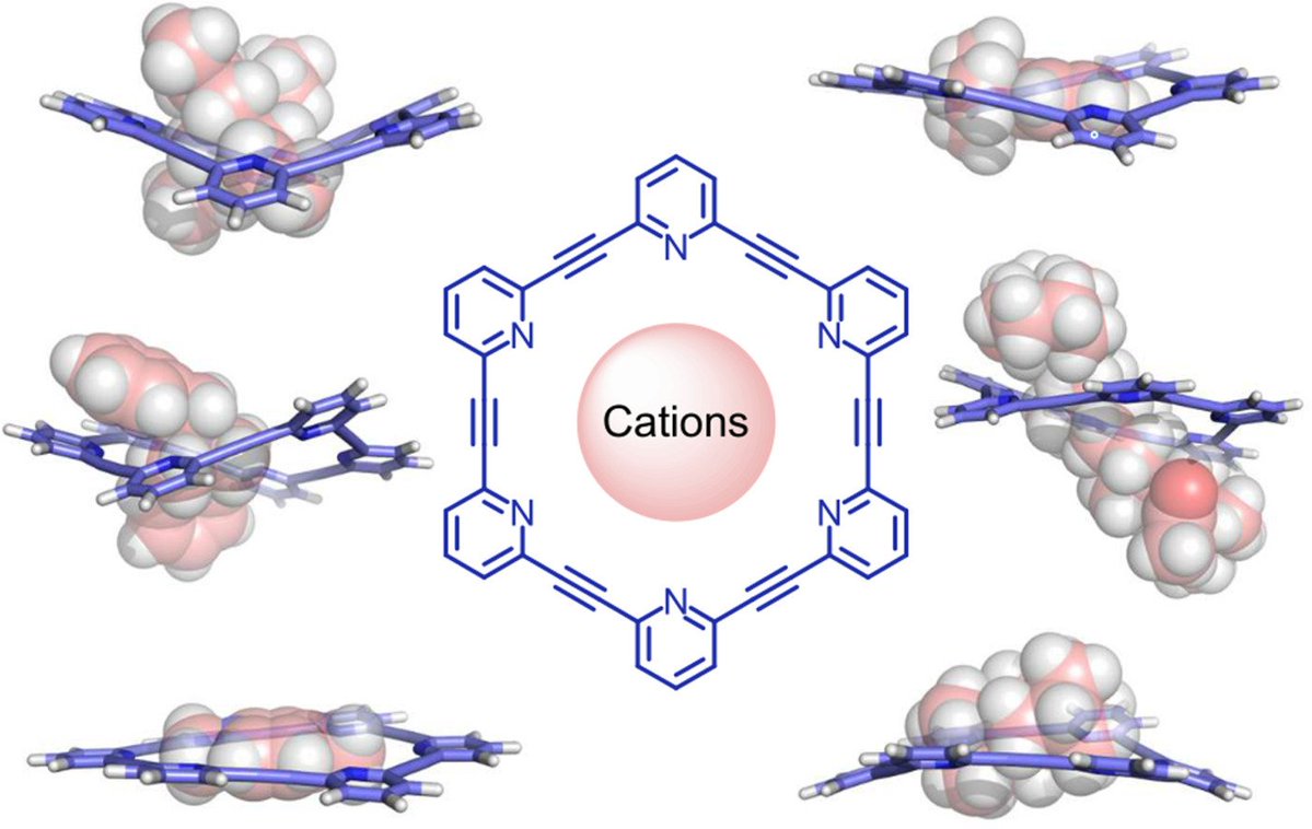 Shape-persistent hexa(ethynylpyridine) macrocycles as adaptive hosts for cations

doi.org/10.1016/j.ccle…
