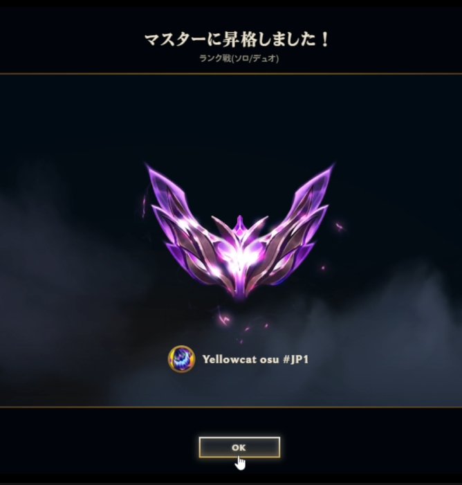 Yellow cat tweet media