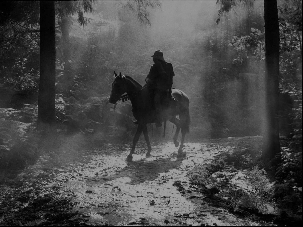 HauntedMovies's tweet image. The Seventh Seal (1957) dir. Ingmar Bergman
