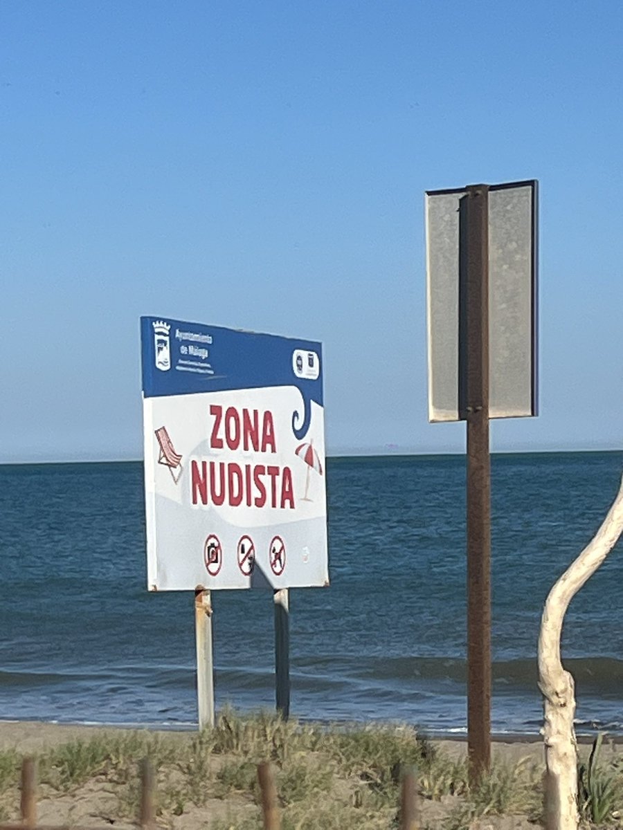 Alejandro tweet media