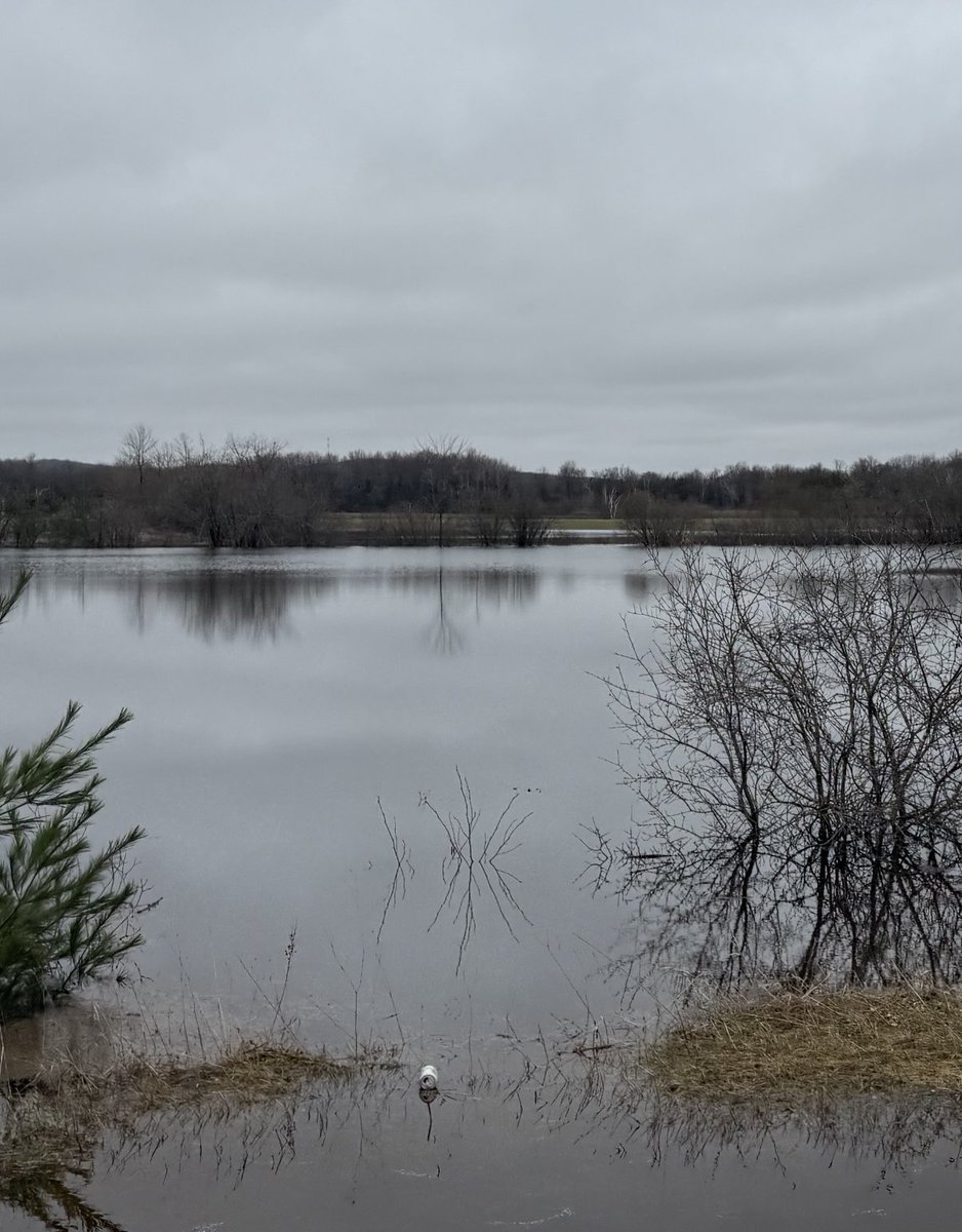 rob_lehman's tweet photo. @SamKuffelWx flooding in western Shawano County near Tigerton https://t.co/ruOGpd3NN5