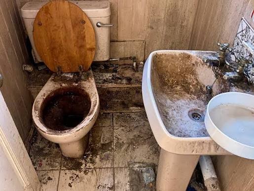 Bosco Vallejo-Nágera Esteban tweet media