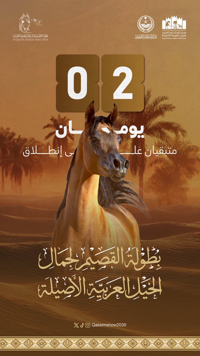 بطولة القصيم لجمال الخيل العربية tweet media