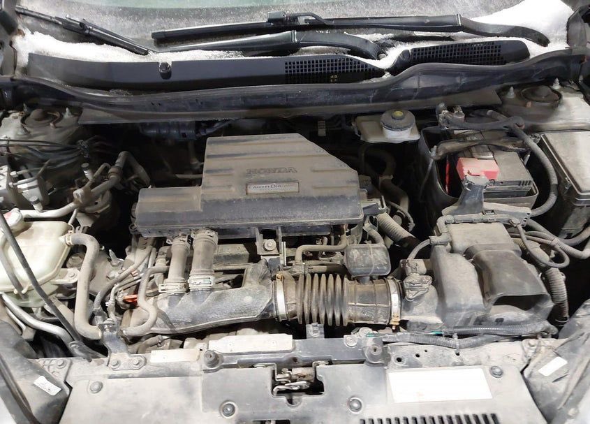 AYEDUASE PULISIC tweet media