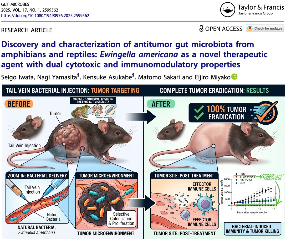 Nicolas Hulscher, MPH tweet media