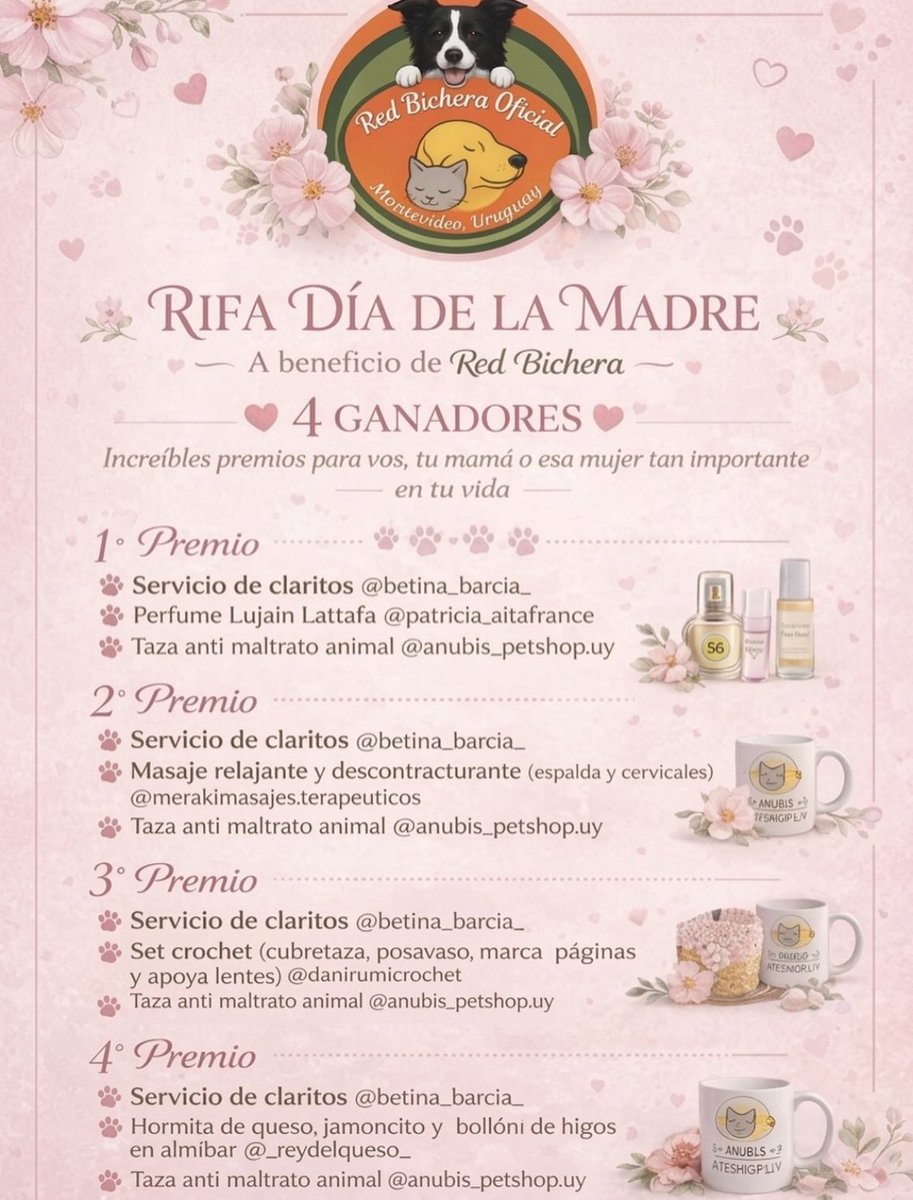 redbicheraoficialuruguay tweet media