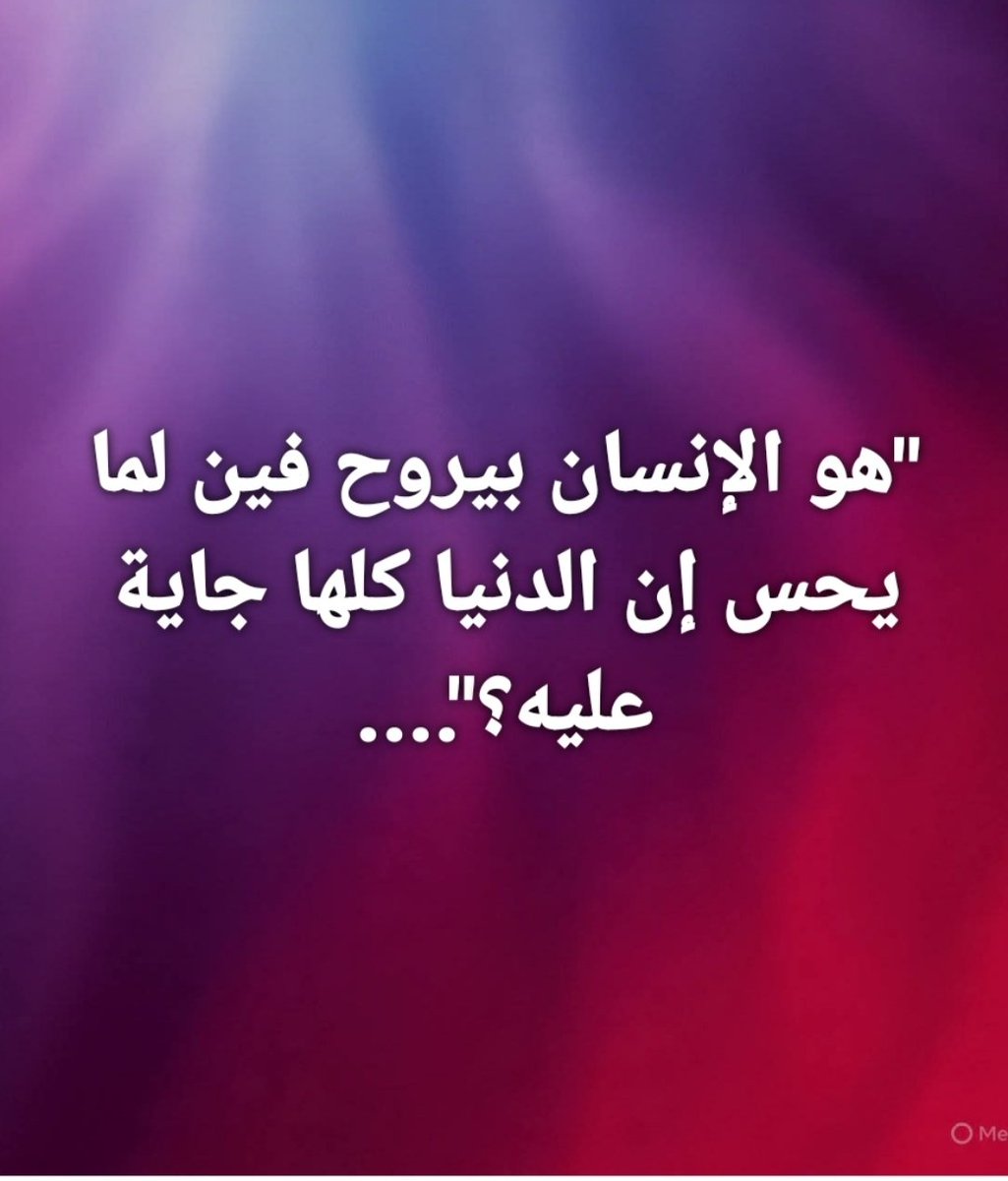 ألو أنا القطة tweet media