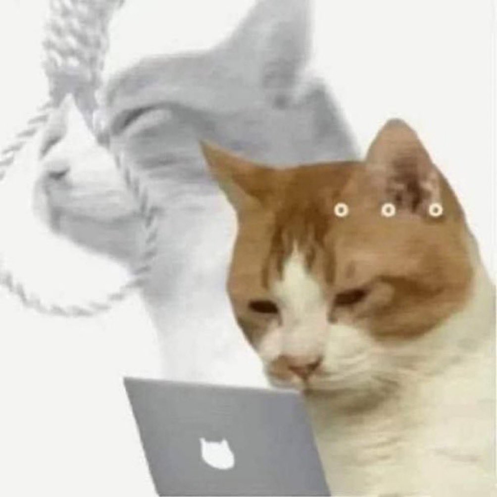 🇸🇦 Seiun🧚🏻‍♀️ tweet media