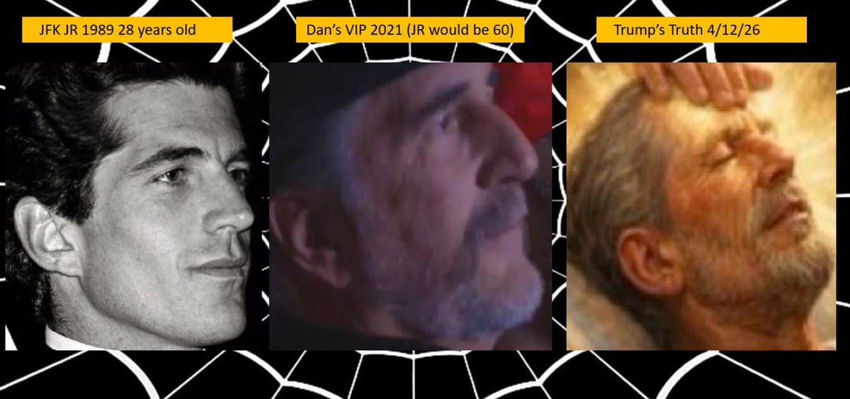 True Stormy Joe tweet media