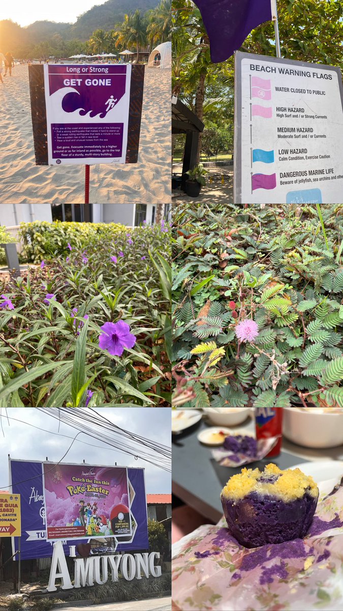 Crimson Scar tweet media