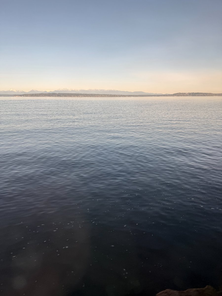 weichiadi tweet media