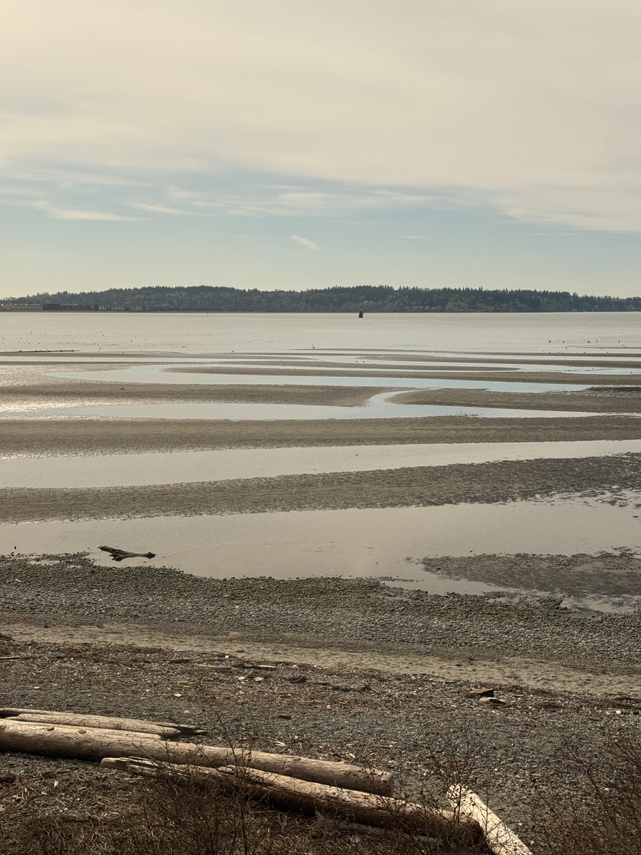 weichiadi tweet media