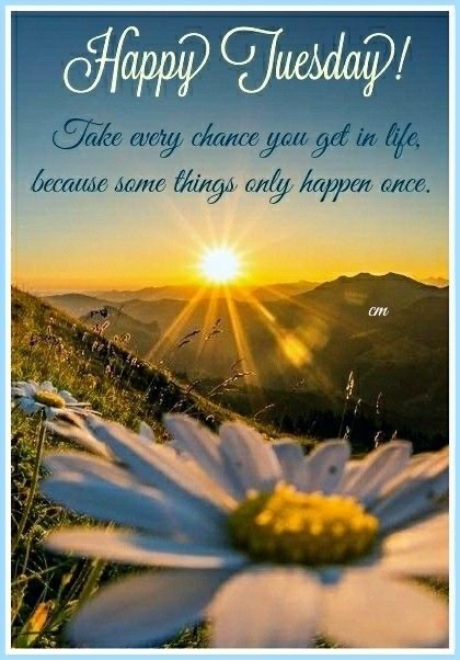 barbiesway's tweet image. May peace be with you, strength in your❤️, gentle moments find you when you need them, &amp;amp; blessings of hope &amp;amp; joy fill your day🙏🌹🫖😀🇺🇸☮️🐾🌻📚✝️
#TuesdayFeeling #TuesdayVibe #TuesdayMotivation 
𝗚𝗼𝗼𝗱 𝗠𝗼𝗿𝗻𝗶𝗻𝗴☕️ 𝐆𝐨𝐨𝐝 𝐀𝐟𝐭𝐞𝐫𝐧𝐨𝐨𝐧🌞 𝗚𝗼𝗼𝗱 𝗡𝗶𝗴𝗵𝘁🌛⭐️