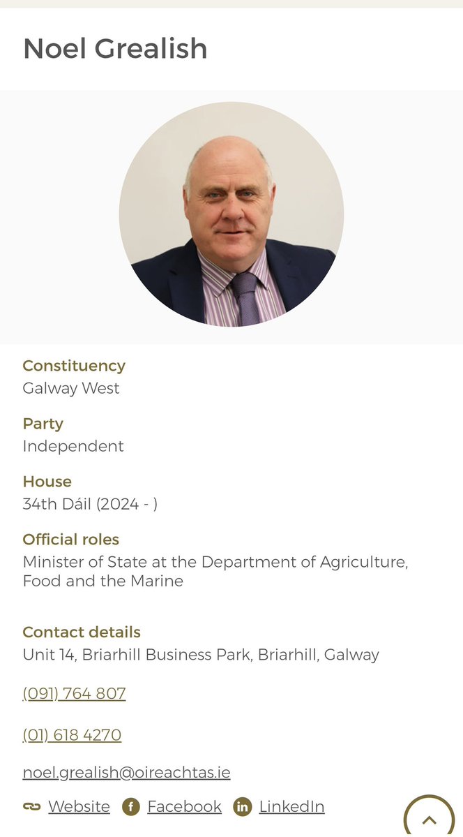 Missmongrel 🇮🇪💚 tweet media