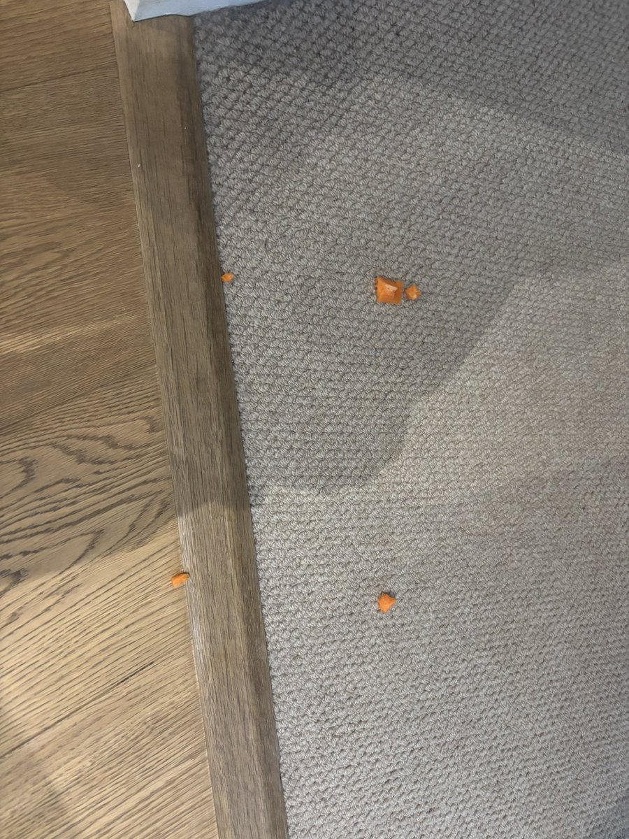 Bentley 🩵 tweet media