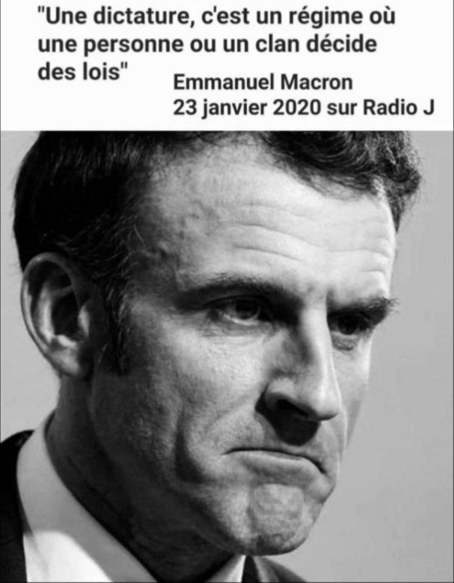 Noëlie la Lupa tweet media