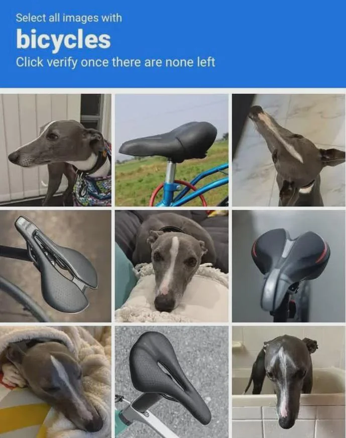 Anna Quintana Pablo tweet media