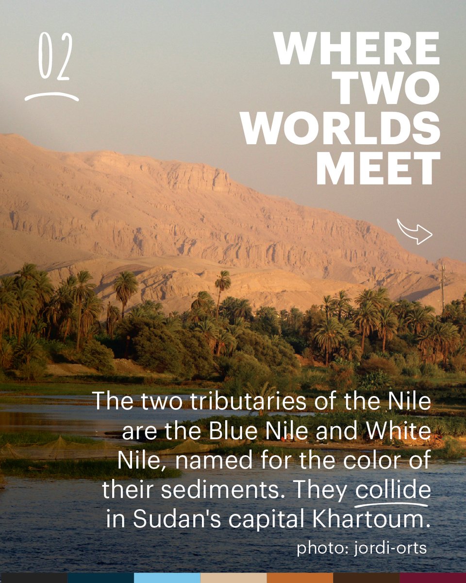 CORE - Community Organized Relief Effort tweet media