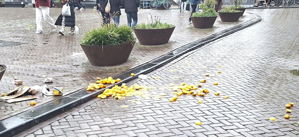 Paco Torres tweet media