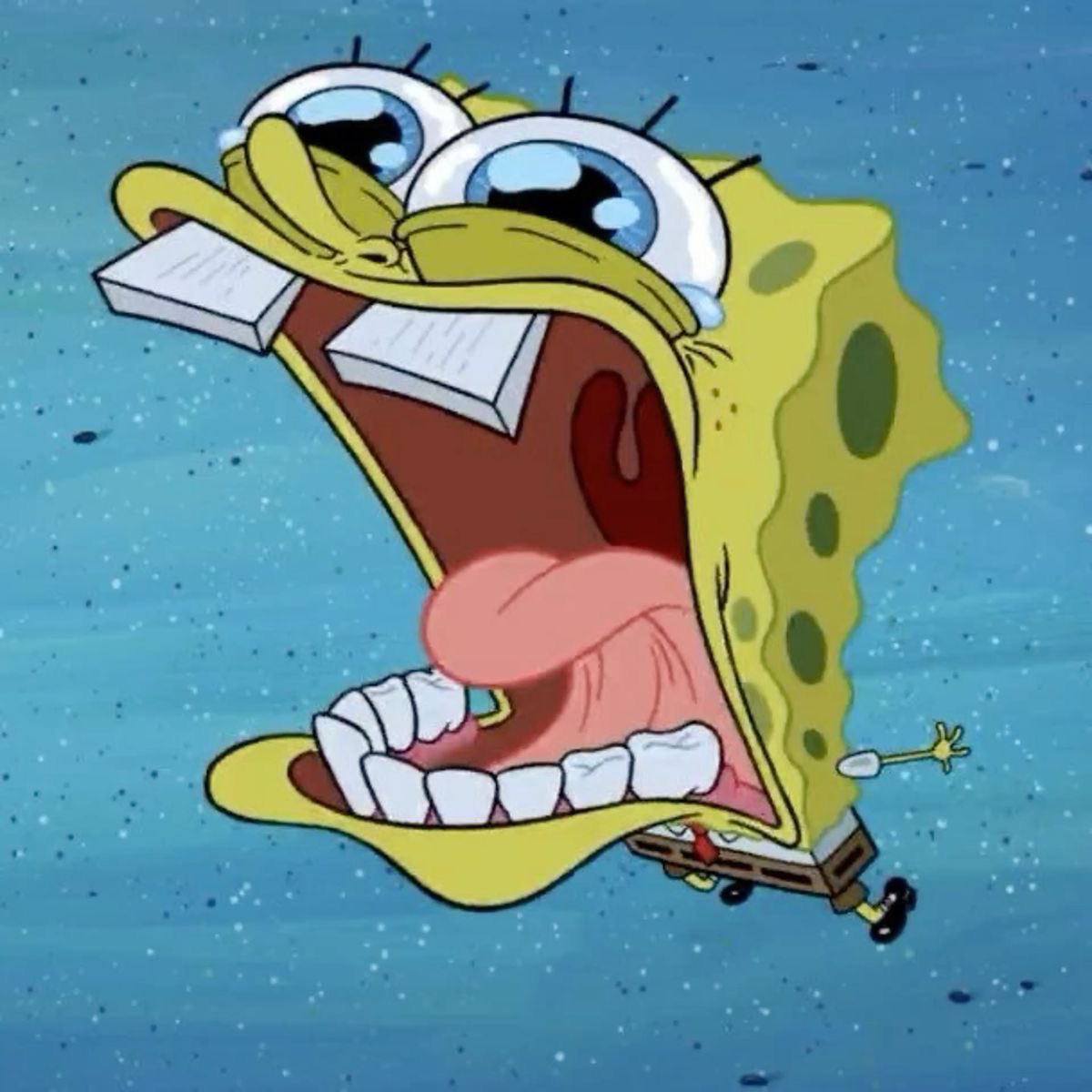 🕸Gabriela🕸 tweet media