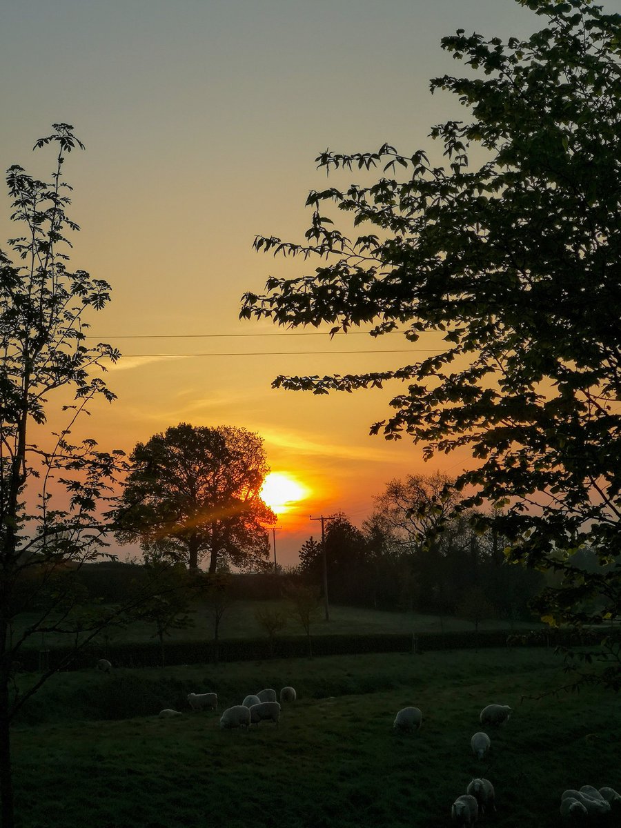 glynn_adams's tweet image. A dreary day here in #somerset with outbreaks of light rain &amp;amp; drizzle 🌧️, max temp around 13c at yeovilton. 
A nice sunrise from April 2020.
