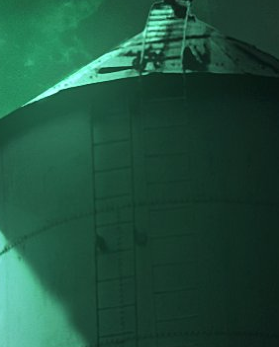 Slimebeast tweet media