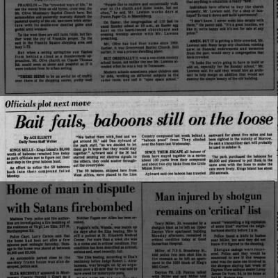 50YearsAgoLive's tweet photo. 50 baboons escape from Kings Island Amusement Park in southern Ohio, causing havoc throughout the Cincinnati area. 

Attempts to bait them have so far failed. https://t.co/mCtg8ExFjv