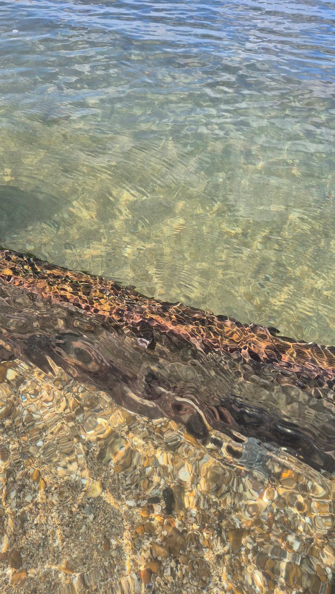 Exspence tweet media