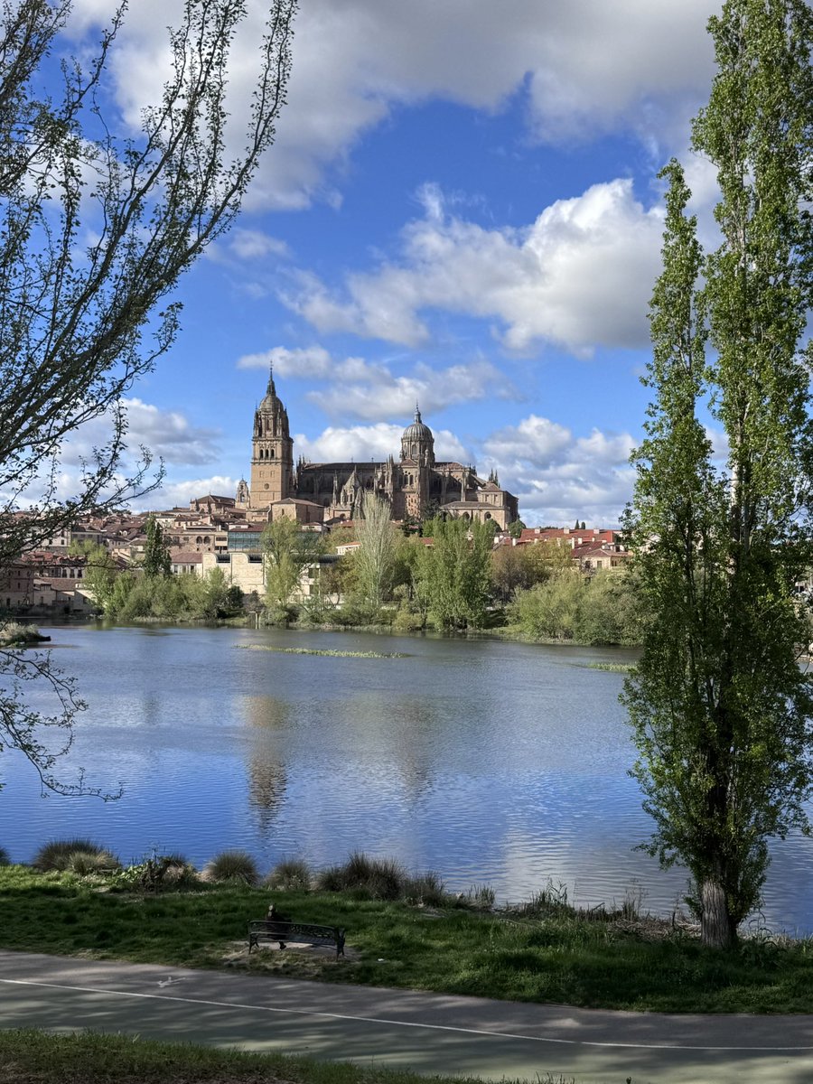 Inversor Real tweet media