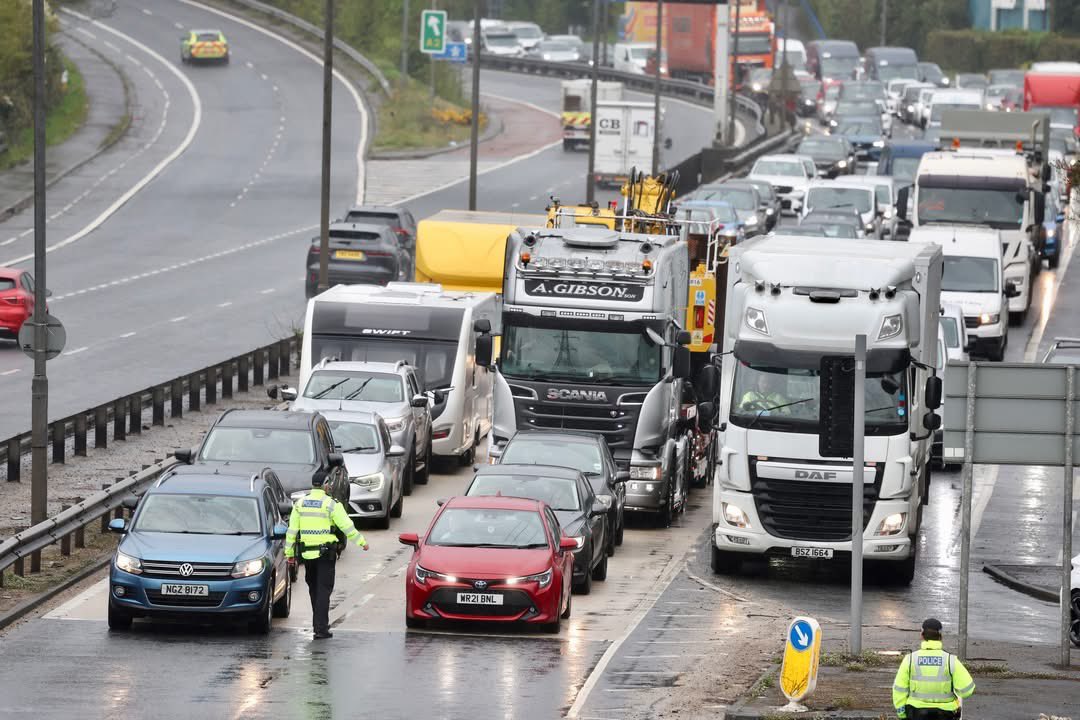 IRISH PATRIOT tweet media