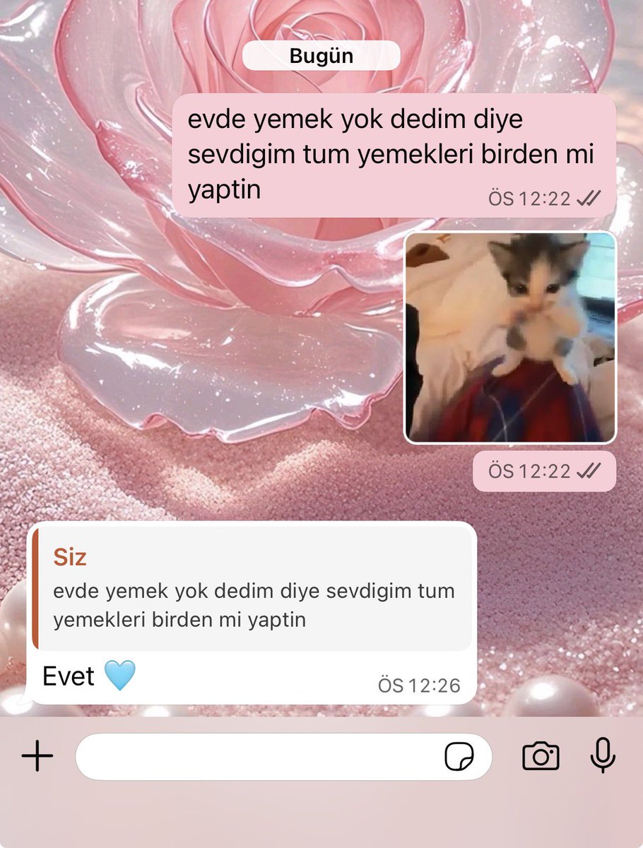 ceren tweet media