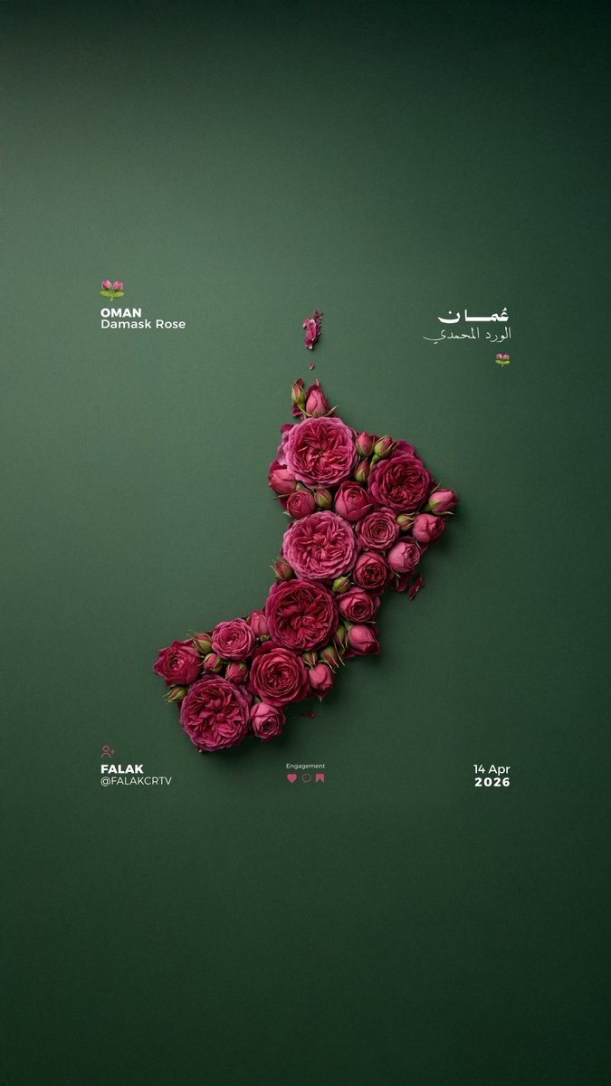 حتّى ورد عُمان؛ يشبهنا ❣️❣️❣️❣️❣️❣️❣️❣️❣️❣️❣️❣️🌷🌷🌷🌷🌷🌷🌷🌷🌷🌷🌷.