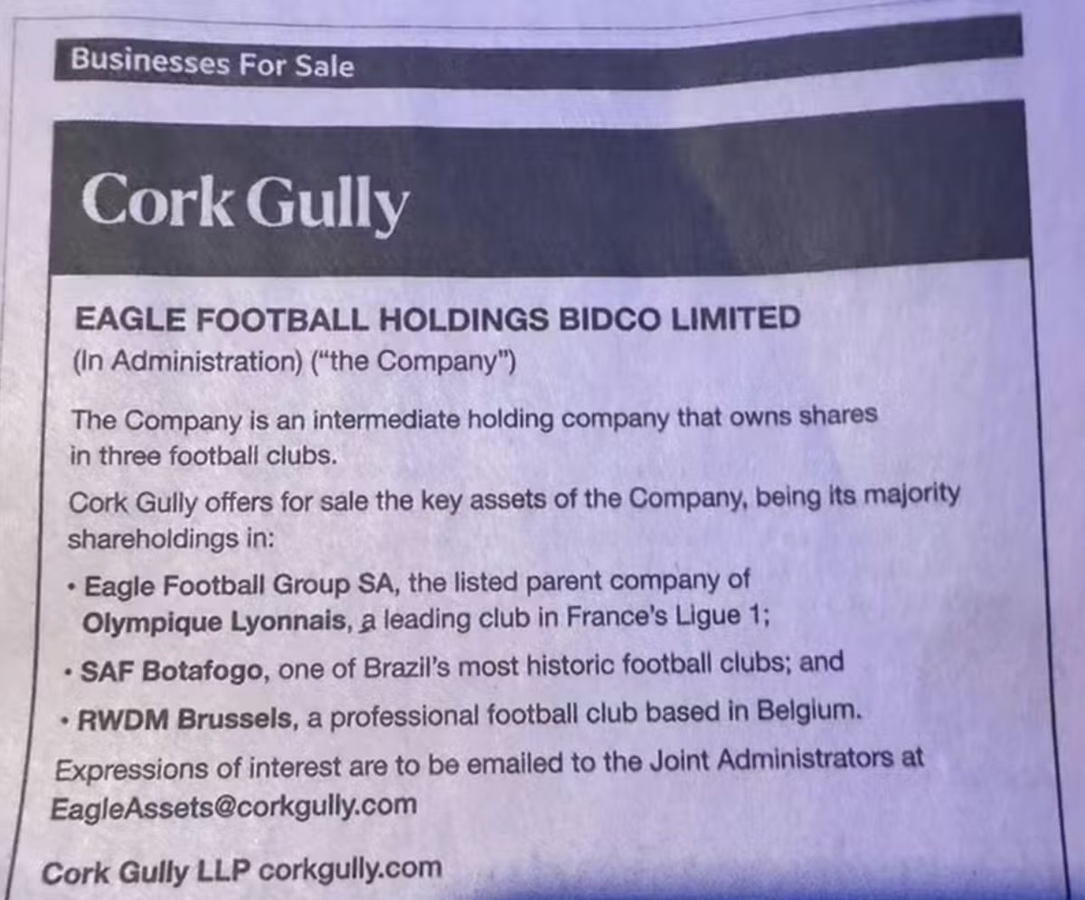 flaviofachel tweet media