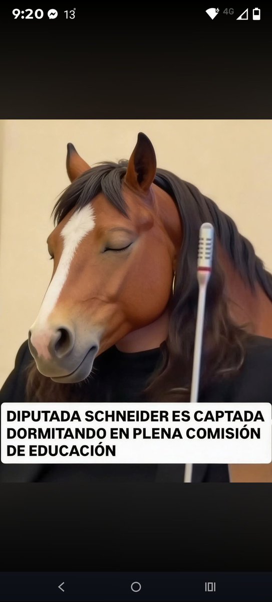 robinson del Maule sur!! tweet media