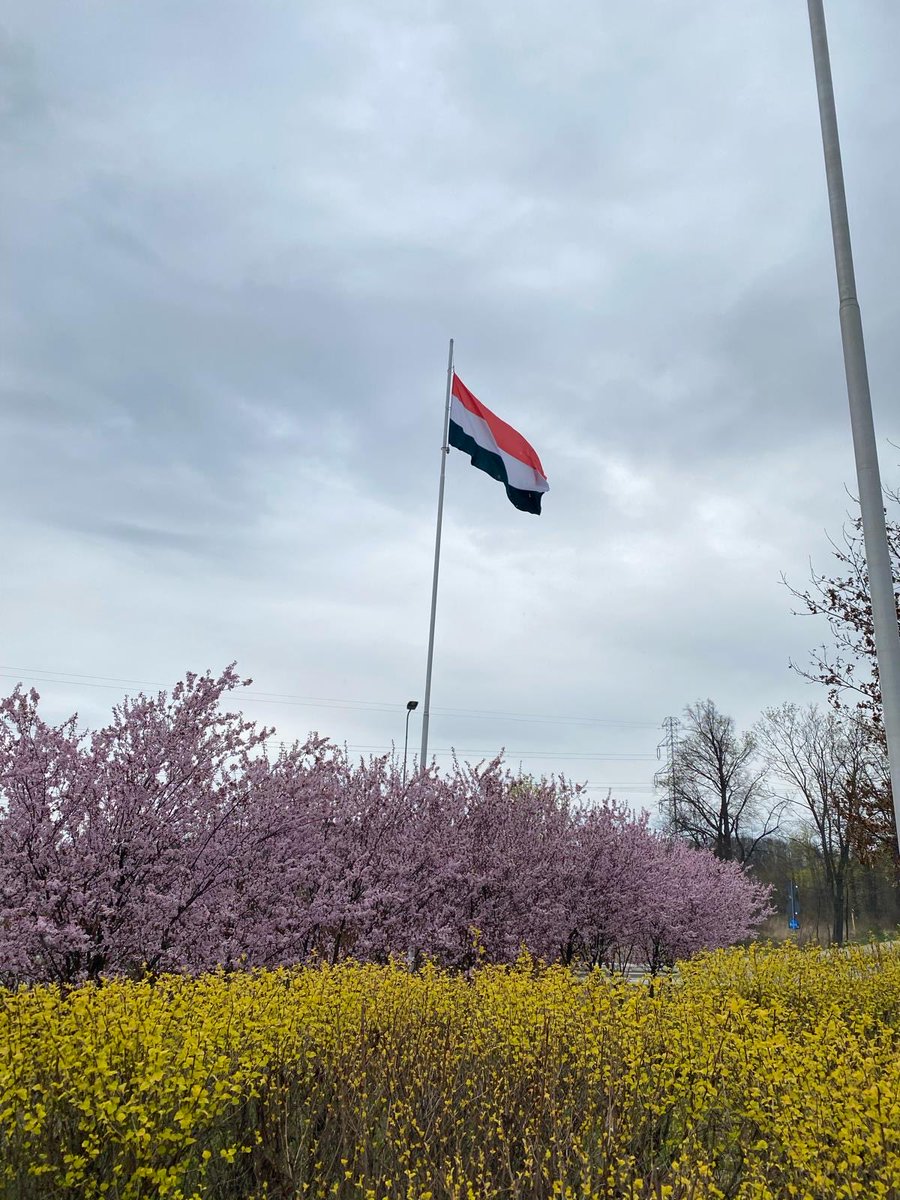 A tymczasem w  Wałbrzychu- Węgier Polak dwa bratanki.     Lengyel, magyar – két jó barát. 🇵🇱🇭🇺.
