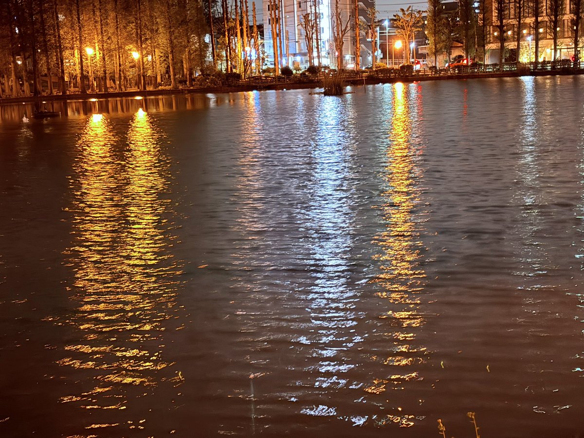 しゅん٩(ˊᗜˋ*)و tweet media