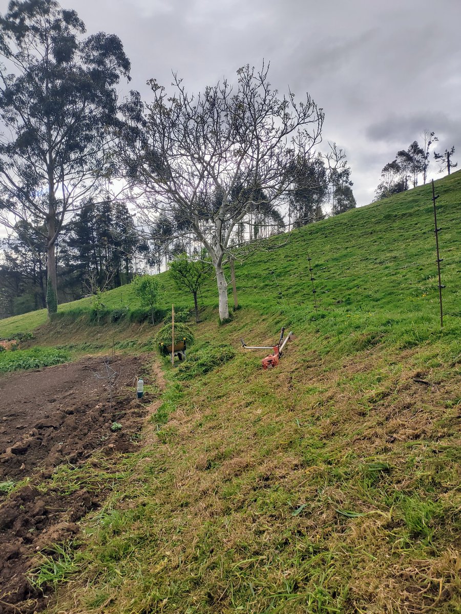 PalaMike91's tweet image. Después de calentar el lomo con el verdadero #Crossfit continuamos con las piernas en spinning🚴🏼‍♂️.... 😆🙌🏼