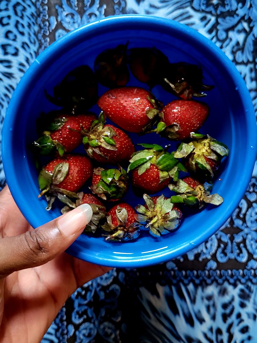 Daniel Regha tweet media