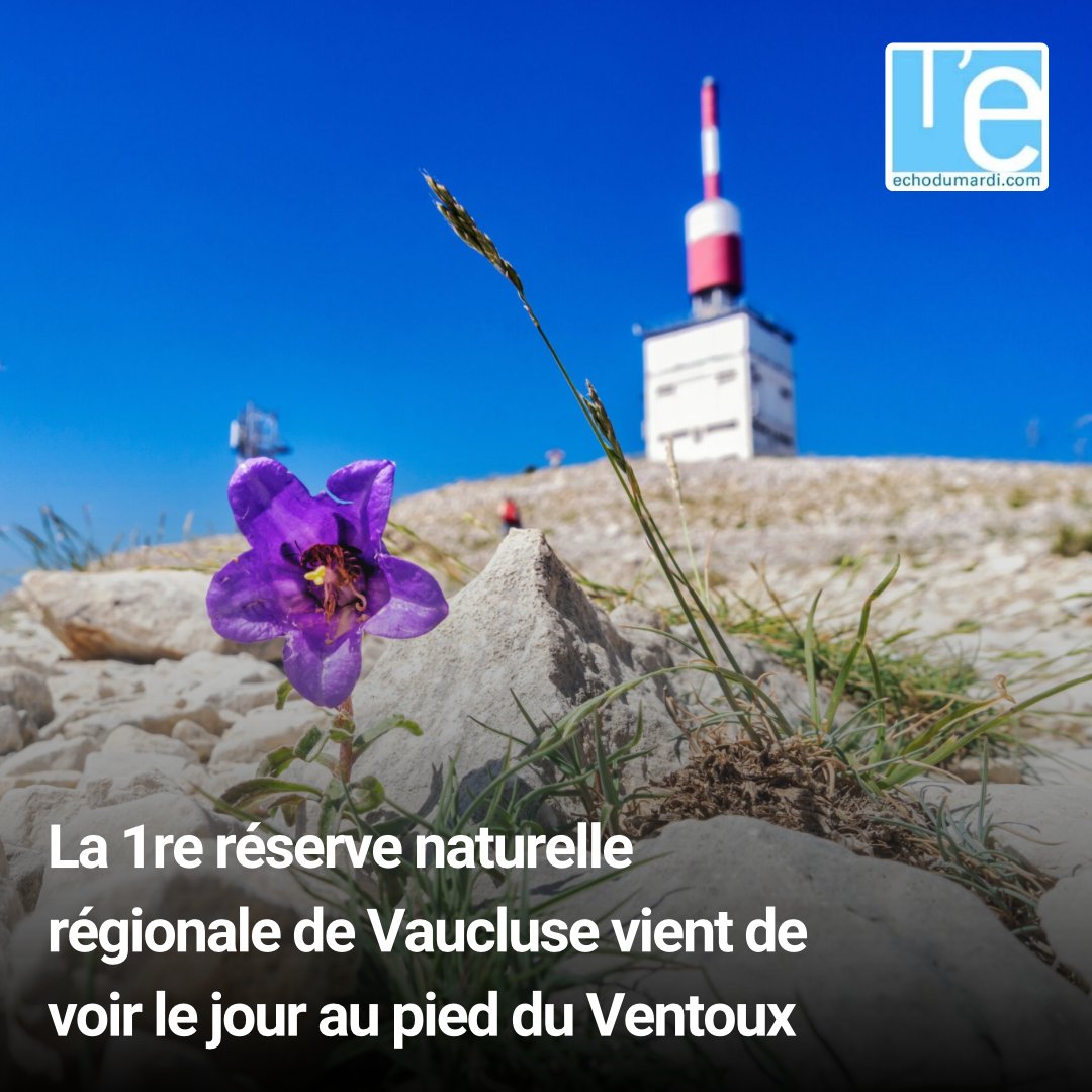 EchoduMardi's tweet image. Lire l’article : echodumardi.com/politiqueetter…

D’une superficie de près de 253 hectares, cette réserve abrite une très grande biodiversité, avec près de 400 espèces végétales et plus de 300 espèces animales recensées.

echodumardi.com

#environnement #villessurauzon #vaucluse