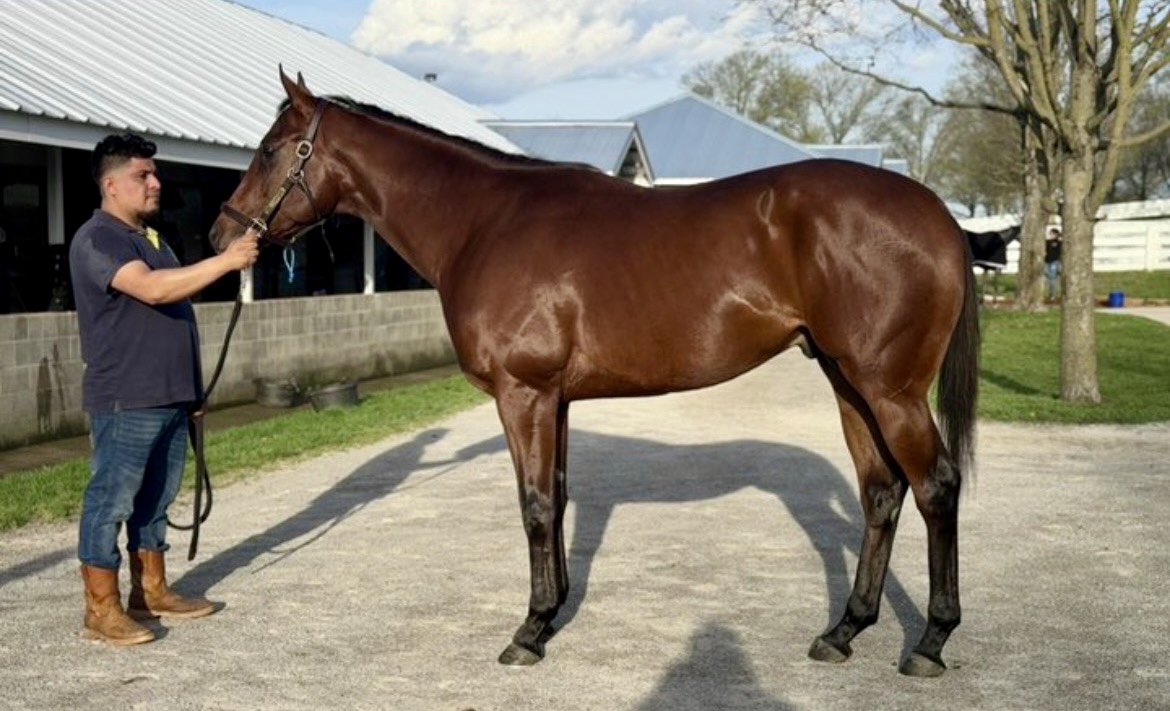 Belladonna Racing Partnership tweet media