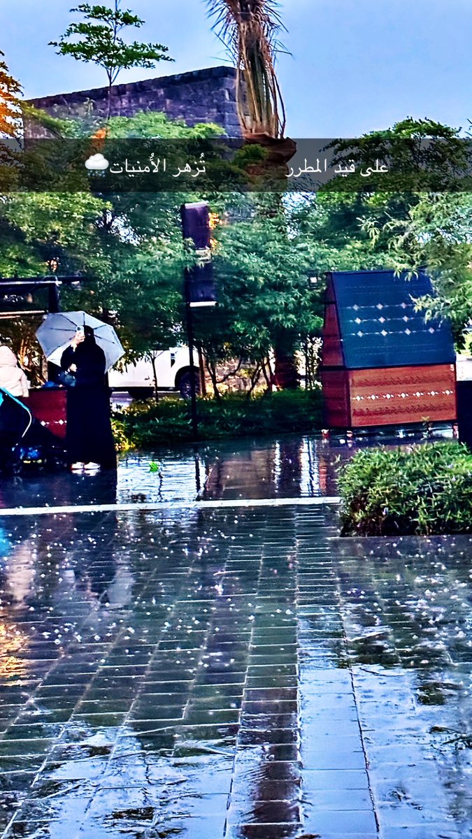 نــــدى tweet media