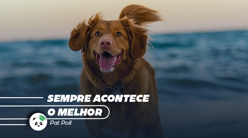 esc_novaenergia's tweet photo. A pessoa que já entendeu isso, nem fala negativamente sobre si mesmo e nem consegue mais ficar perto de quem o faz. E se ouve com os ouvidos algo assim, simplesmente “não ouve”.
Leia o texto completo no blog: https://t.co/sLM3fP0sS7
#heliocouto #acontecer #dimensao https://t.co/gUc3eR0wv0
