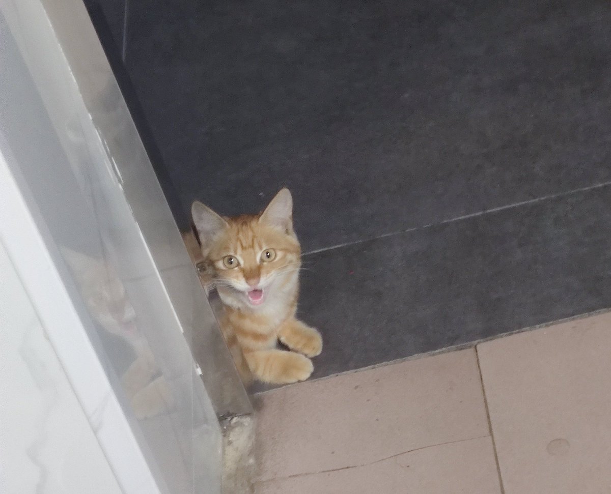 香辣鸡腿堡 tweet media