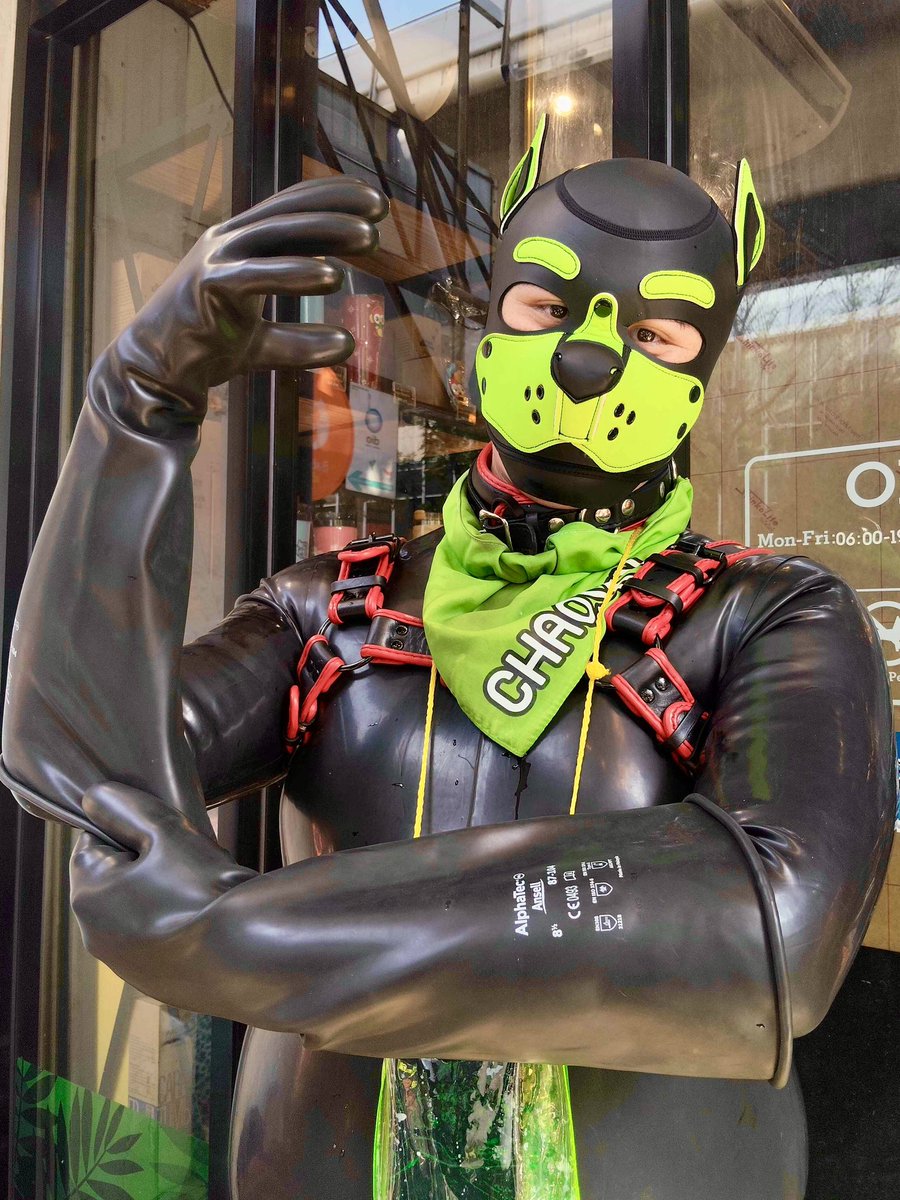 Chaosky (👽) tweet media