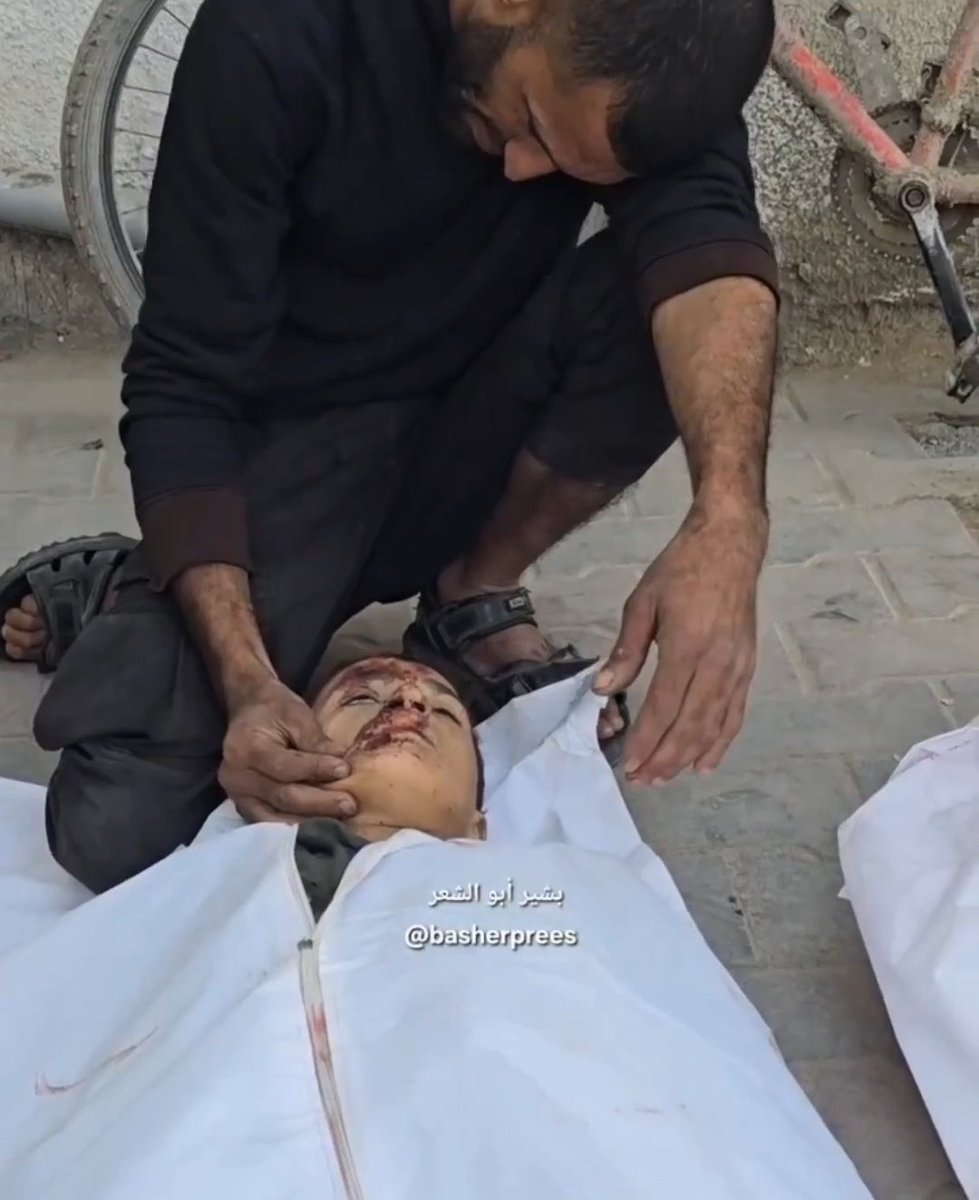 حليمة tweet media