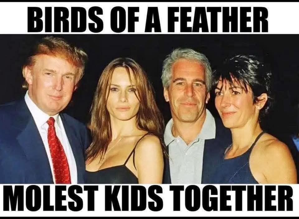 alien cat 🌊💙🧢🐱🐶🦝 tweet media