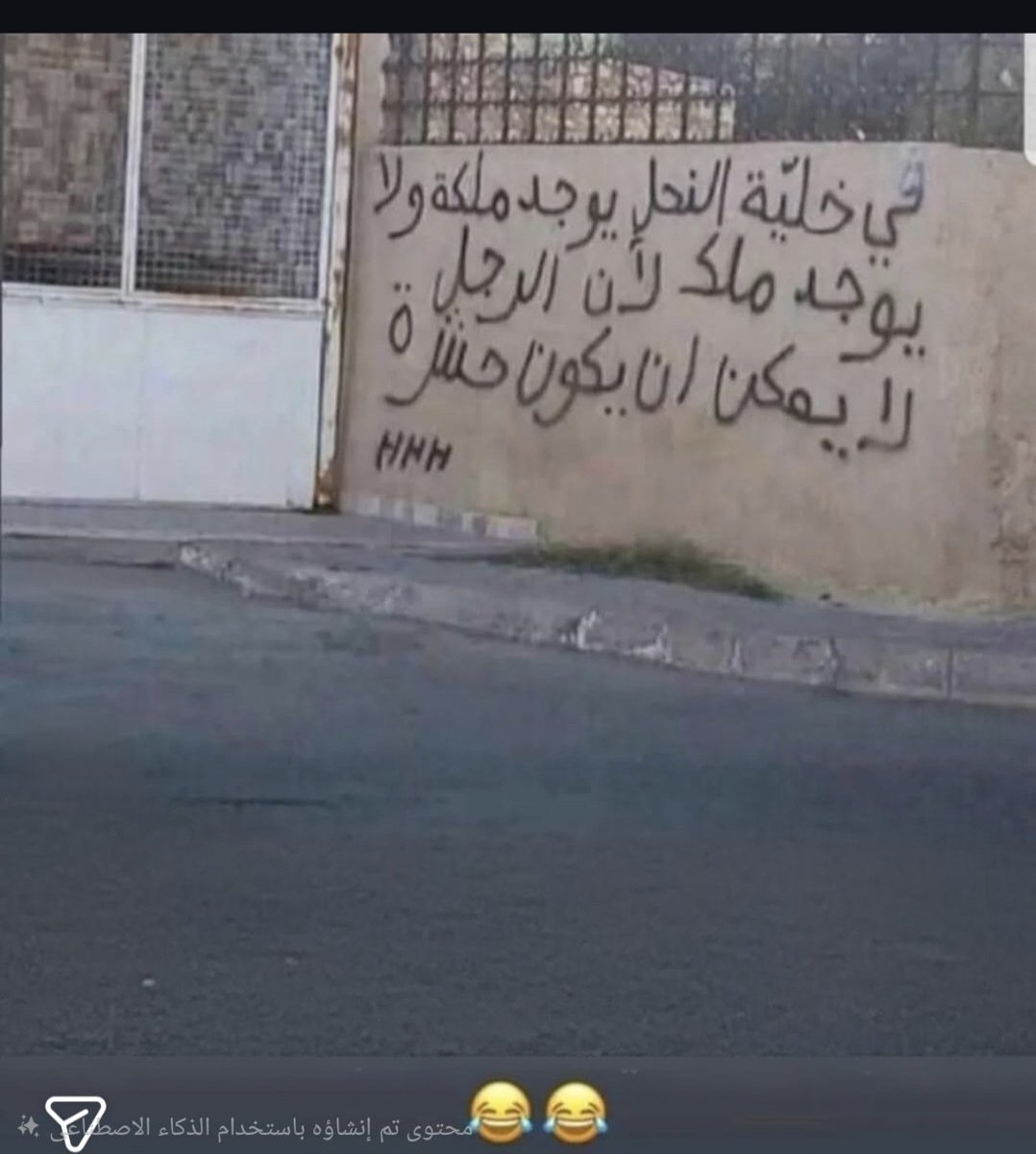 مُبحِر 🌊 tweet media