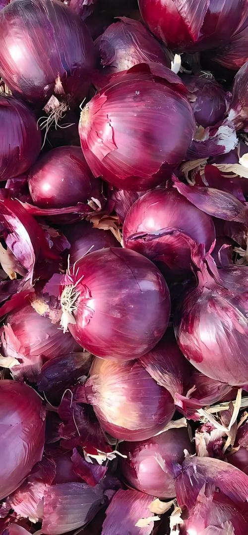 princess tweet media